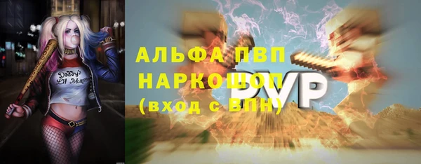 шишки Абинск