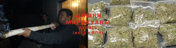 шишки Абинск