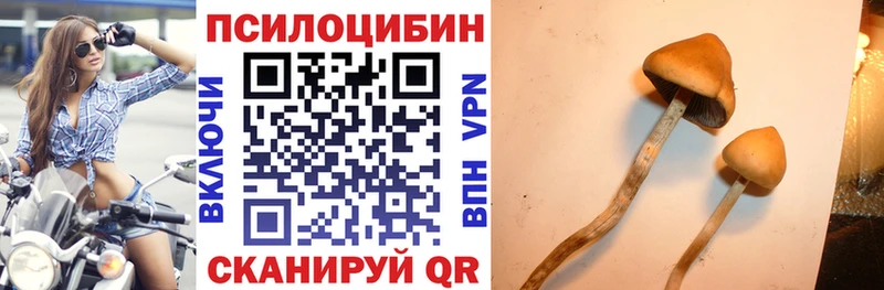 закладка  Власиха  Псилоцибиновые грибы Magic Shrooms 
